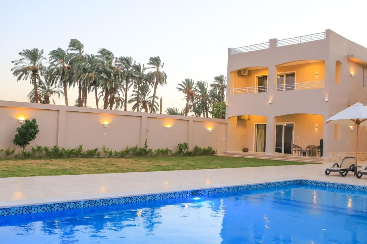 Royal Nile Villa - Pool View Apartment 1 الأقصر المظهر الخارجي الصورة