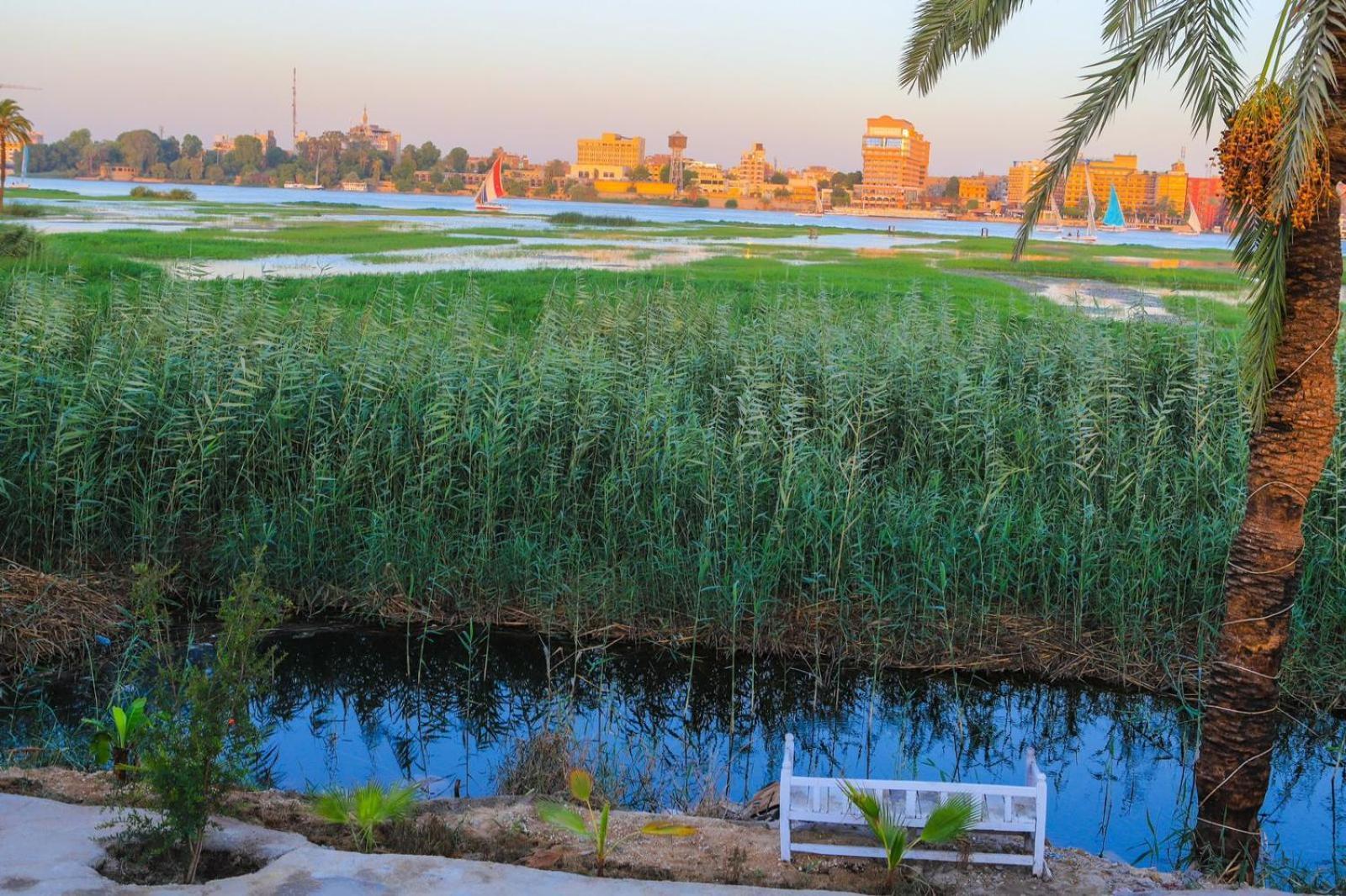 Royal Nile Villa - Pool View Apartment 1 الأقصر المظهر الخارجي الصورة